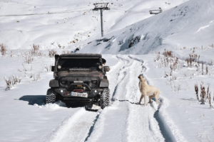 Chaussettes ou chaines neige : quelle option choisir pour rouler en toute securite ?